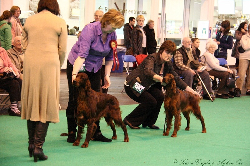 Crufts2011_2 189.jpg